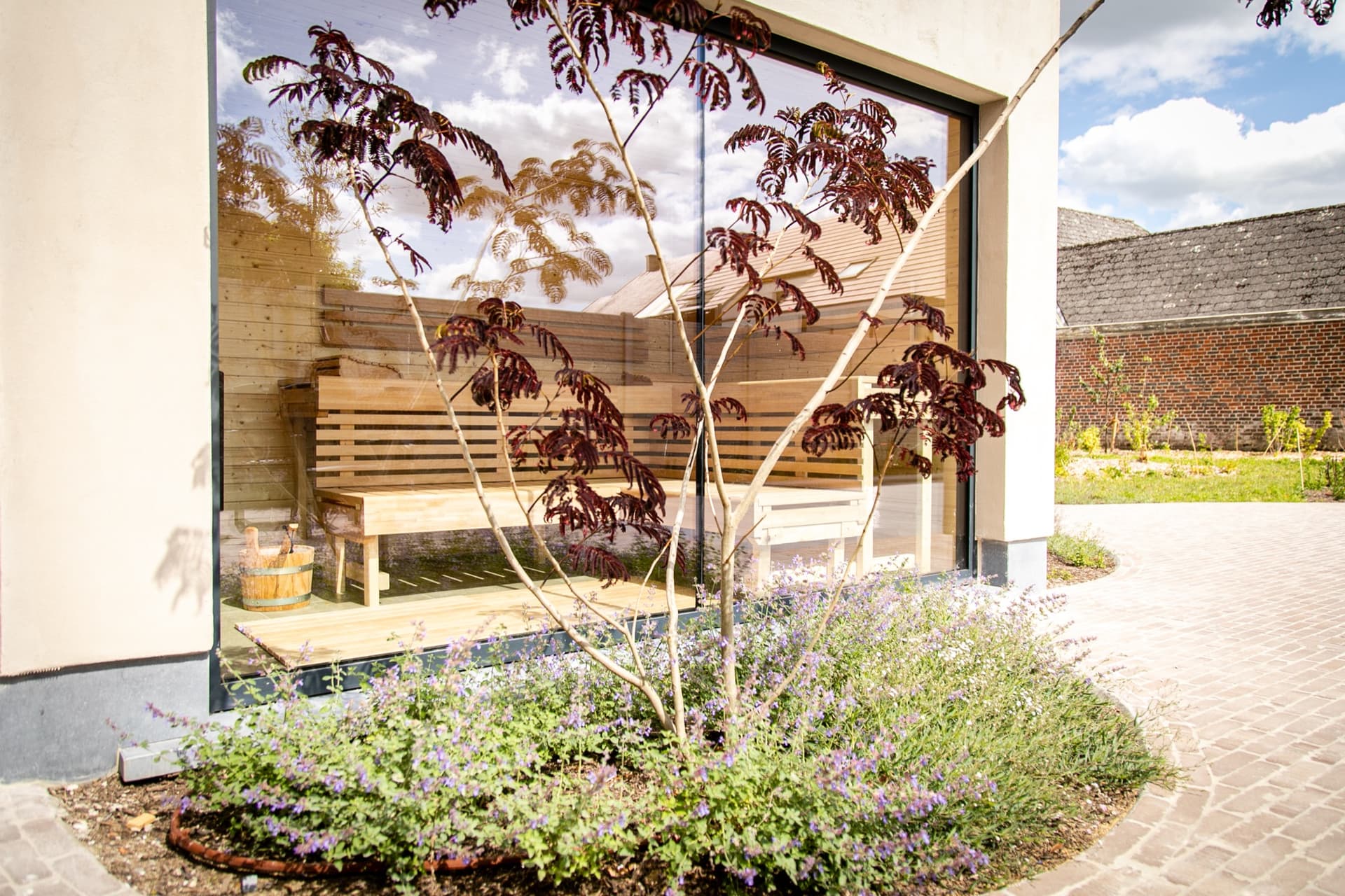 Sophora 21