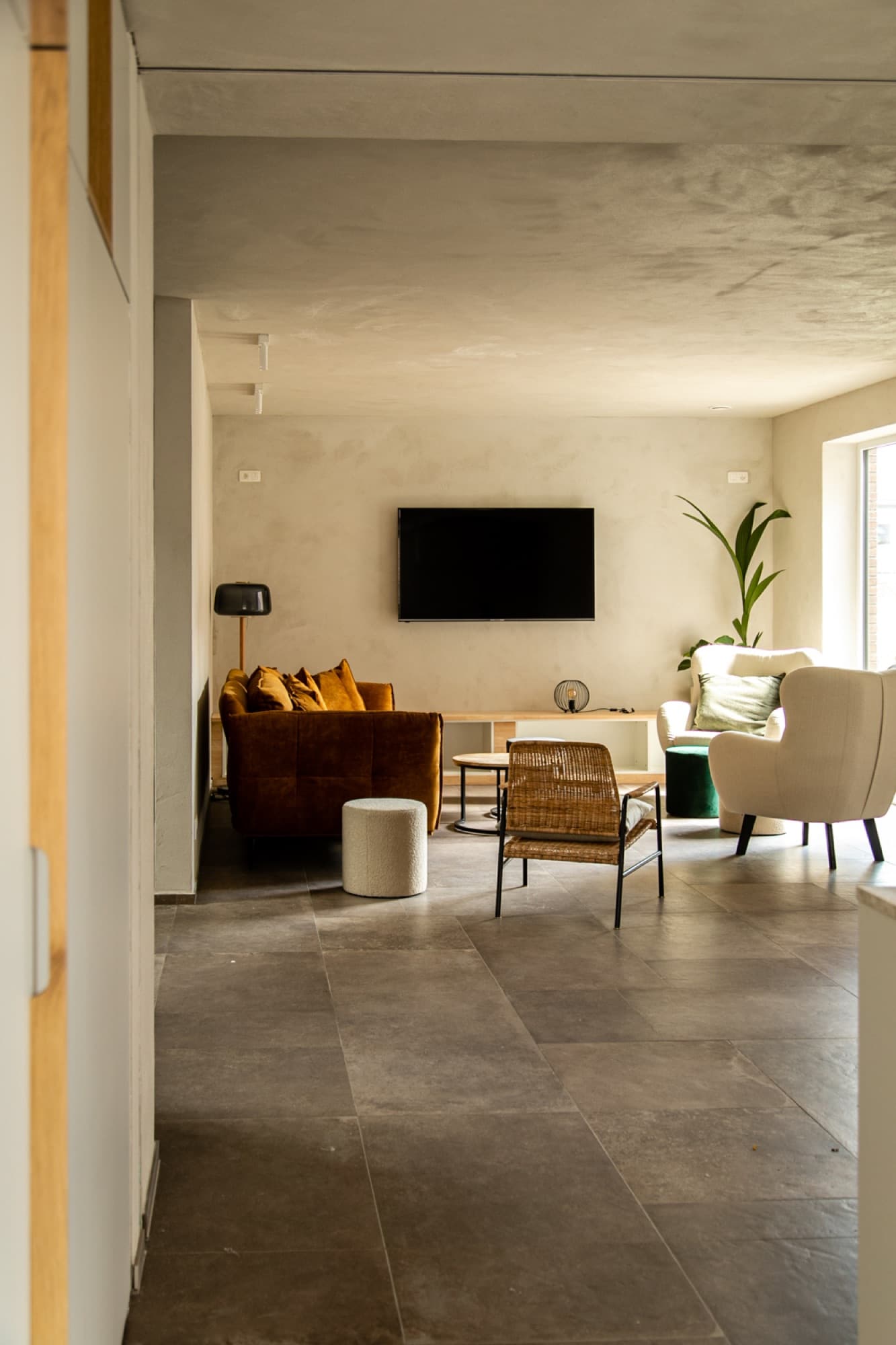 Sophora 38